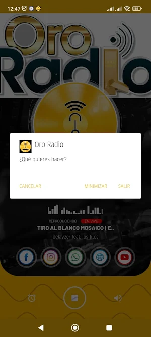 Oro Radio Screenshot 3