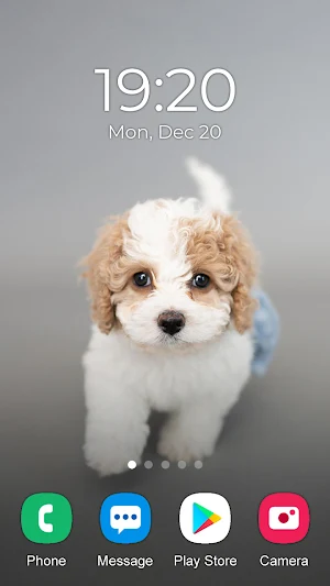 Dog Wallpaper 2023 Screenshot 3