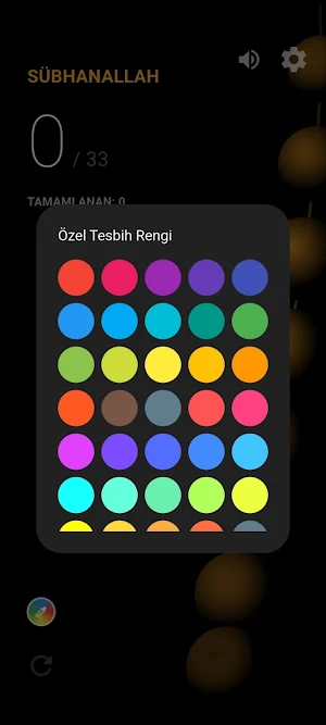 Tesbih Zikir PRO Screenshot 1