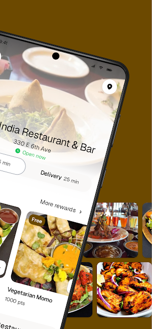Little India Restaurant To Go Screenshot 1