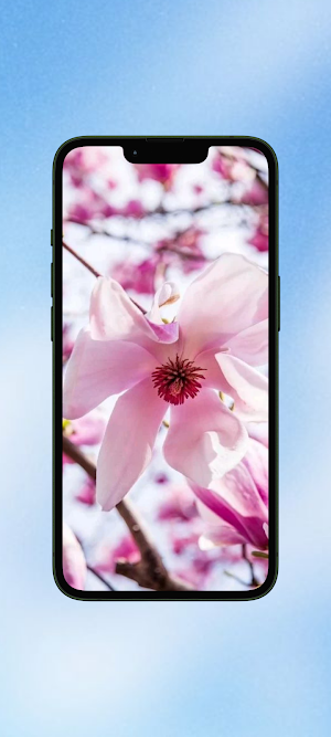 Magnolia Flower WalL Screenshot 0