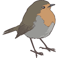 Passeriformes