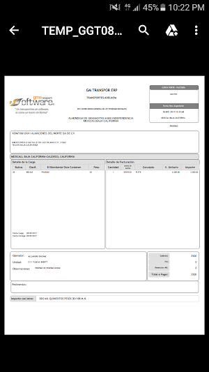MIS VIAJES Screenshot 3