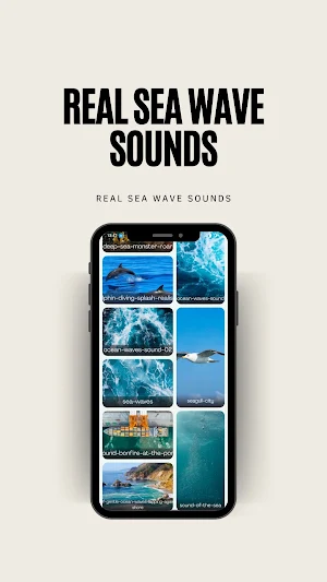 Real Sea Wave Sounds Screenshot 2