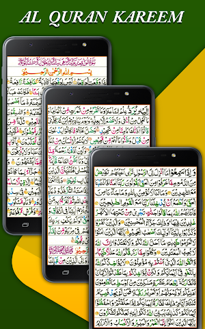 Al Quran - The Holy Quran 16 lines Screenshot 3