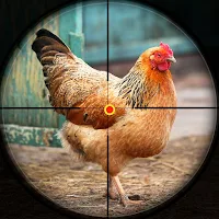 Jungle chicken hunting
