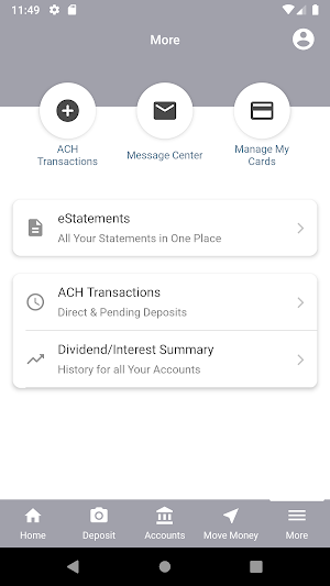 North Central Area CU Business Screenshot 2