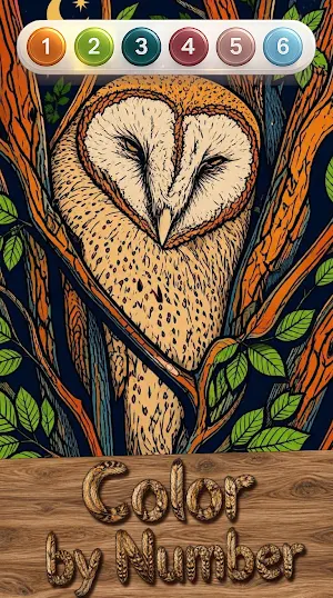 Owl Color by Number Screenshot 2