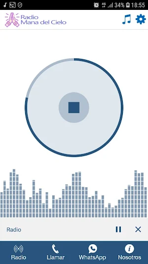 RADIO MANA DEL CIELO Screenshot 1