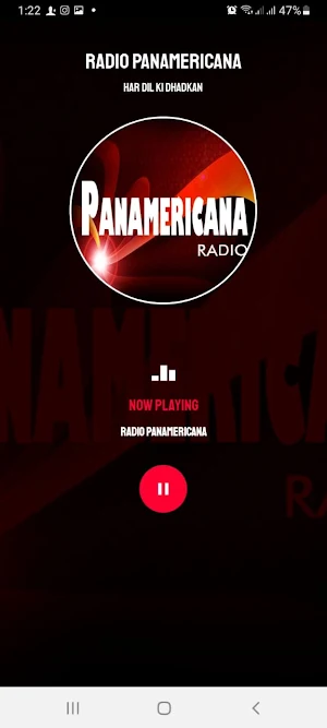 Radio Panamericana 103.3 Screenshot 0