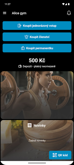 Alice gym Screenshot 0