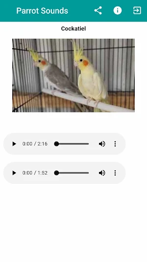 Parrot Sounds Bird Chirps Screenshot 2