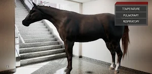 Trot To Trophy 2: TPR AR Screenshot 0