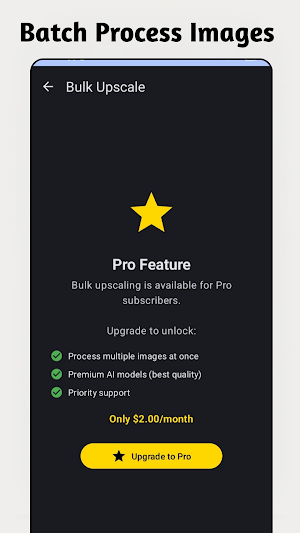 Offline AI Image Upscaler Screenshot 3