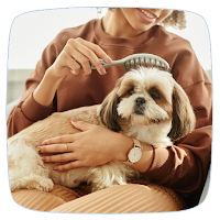 Pet Care Guide