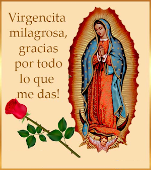 Virgen de Guadalupe Frases Screenshot 1
