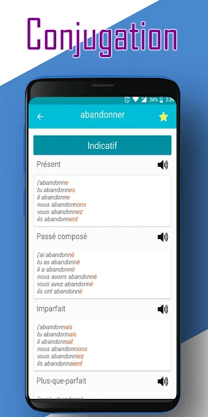 French conjugation - offline Screenshot 3