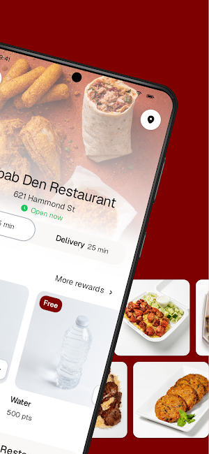 Kebab Den Restaurant Screenshot 1