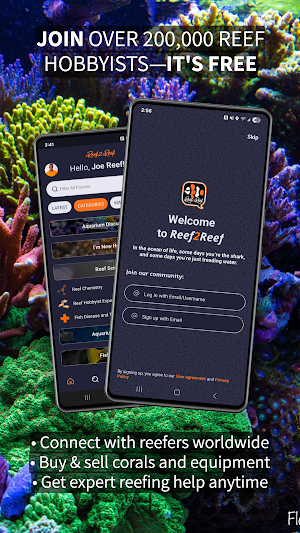 Reef2Reef Screenshot 0