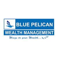 Blue Pelican Wealth