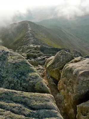 Maine Wallpaper HD Screenshot 2