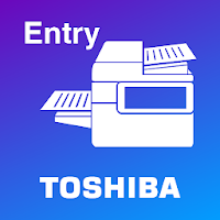 e-BRIDGE Print & Capture Entry
