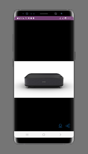 Epson EpiqVision LS300 Guide Screenshot 3