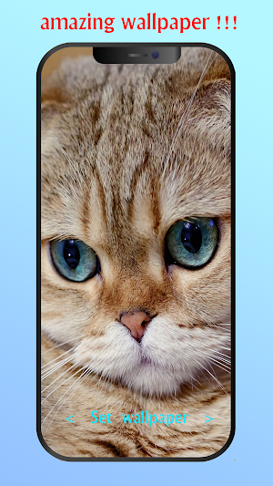 Cute wallpaper 4k Screenshot 3