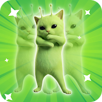 Cat Dance Filter Challenge
