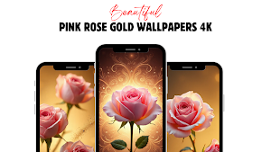 Pink Gold Rose Wallpaper Screenshot 0