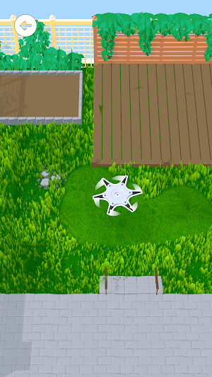 Perfect Garden Master Screenshot 2