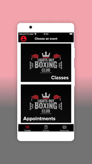 Lights Out Boxing Screenshot 1