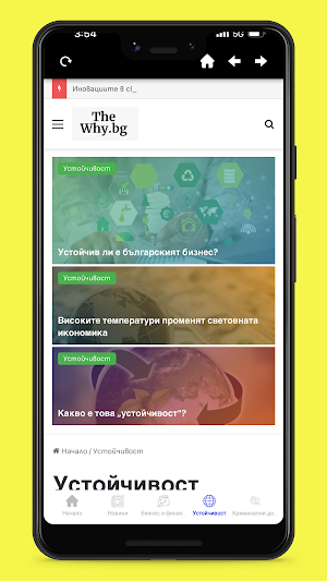 TheWhyBG Screenshot 3