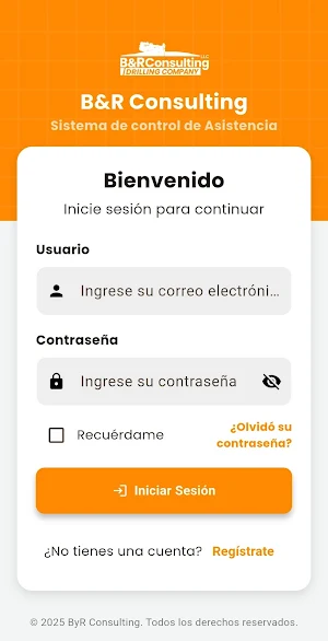 B&R Consulting Screenshot 1