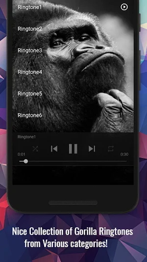 Gorilla Sounds Screenshot 1