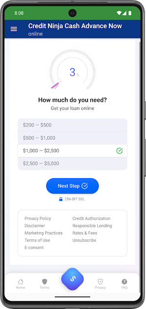Credit Ninja Cash Advance Now Screenshot 1