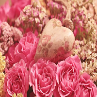 Messages Amour