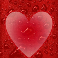 Valentine Day Wishes