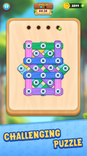 Wood Nuts And Bolts Puzzle Screenshot 0