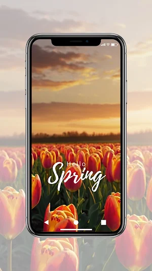 Spring Wallpaper HD Screenshot 2