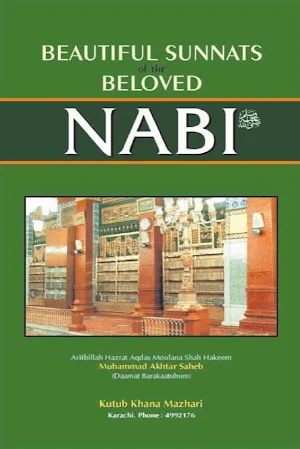 Beautiful Sunnats of Nabi Saw Screenshot 0