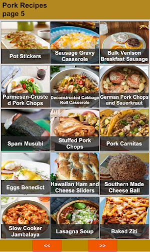 150 Best Pork Recipes Offline Screenshot 2