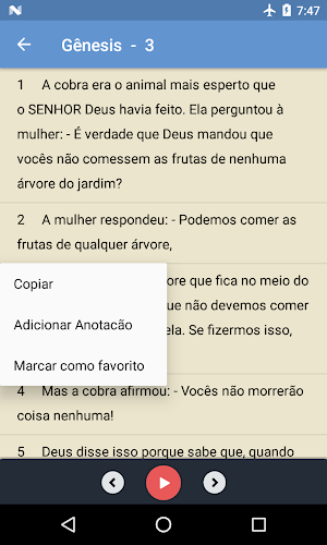 Bíblia em áudio Screenshot 3
