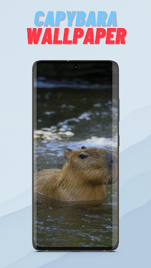 Capybara Wallpaper HD Screenshot 1