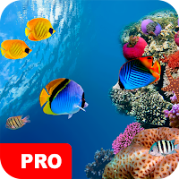 Underwater Wallpapers PRO