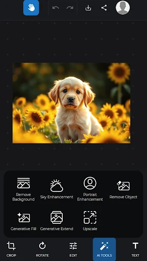 Zoner AI Editor Screenshot 0