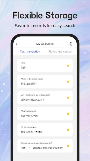 Instant Translate Screenshot 3