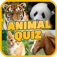 Animal Match Quiz