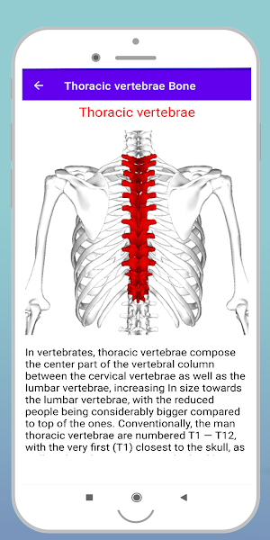 Human Bones Screenshot 1