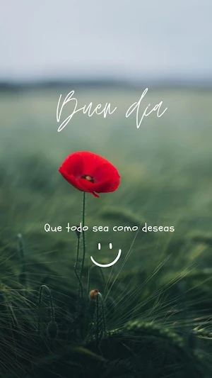Frases de Buenos Dias Screenshot 2